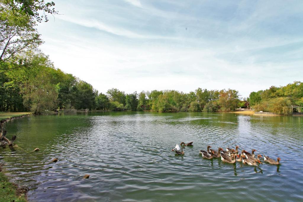 Auberge De L'Etang Bleu Vieux-Mareuil ห้อง รูปภาพ